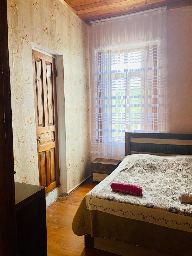 Guesthouse Kamelia Martvili Exteriér fotografie