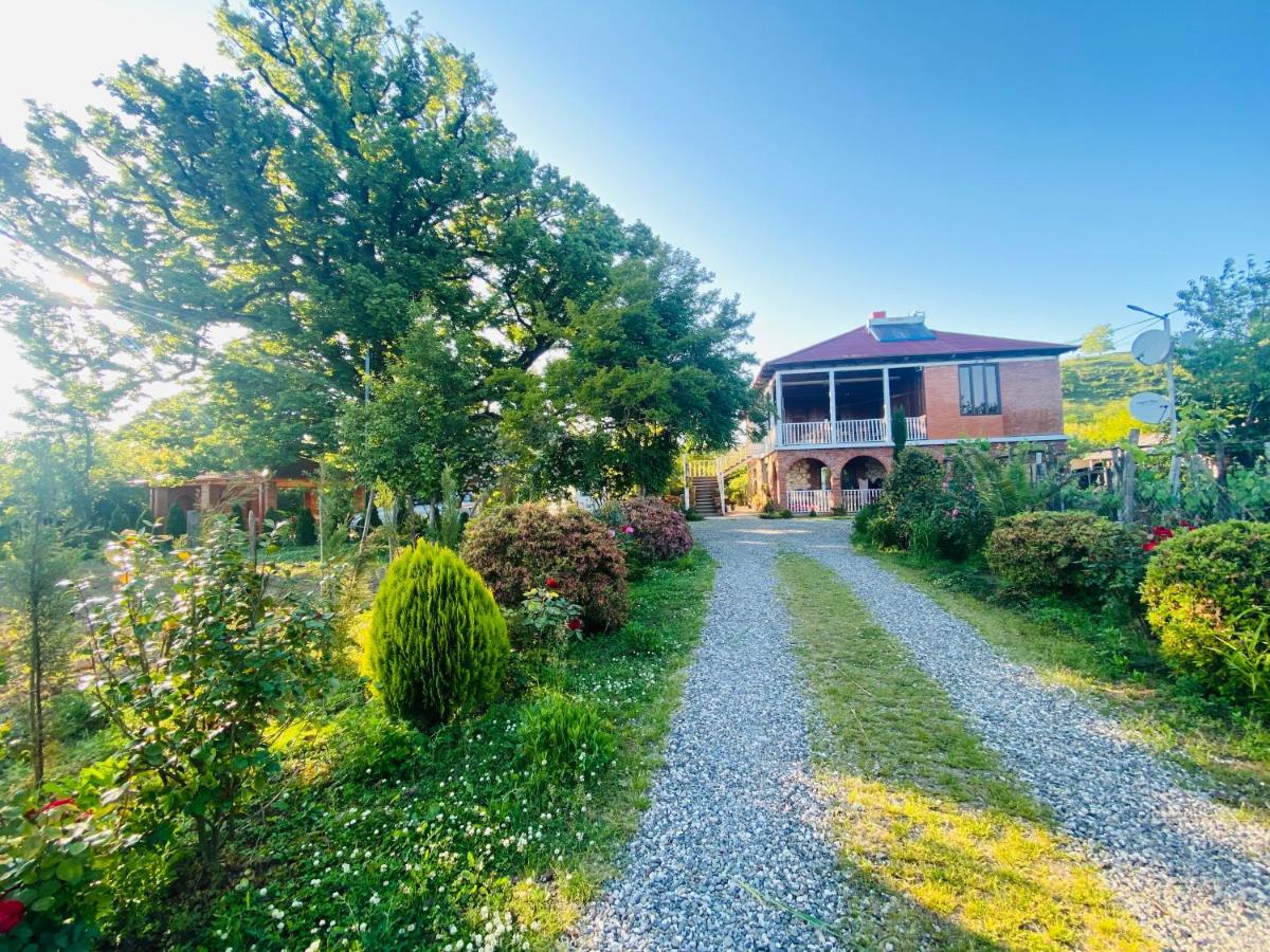Guesthouse Kamelia Martvili Exteriér fotografie