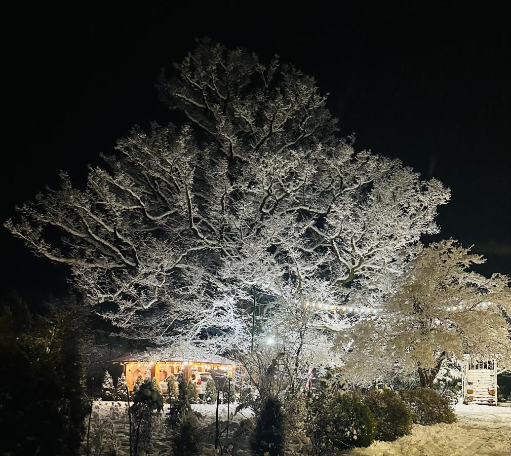 Guesthouse Kamelia Martvili Exteriér fotografie