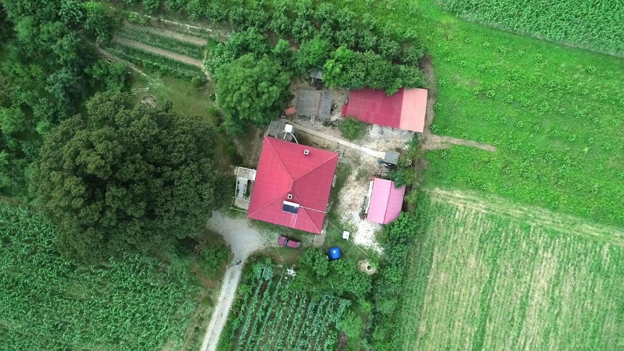 Guesthouse Kamelia Martvili Exteriér fotografie