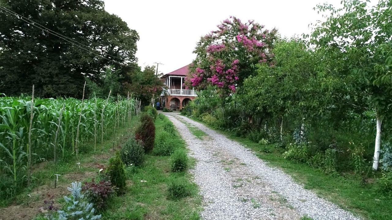 Guesthouse Kamelia Martvili Exteriér fotografie