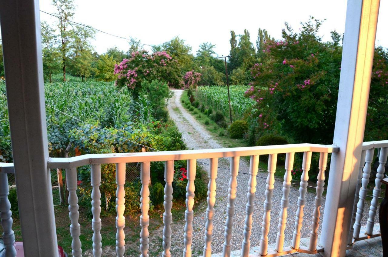 Guesthouse Kamelia Martvili Exteriér fotografie