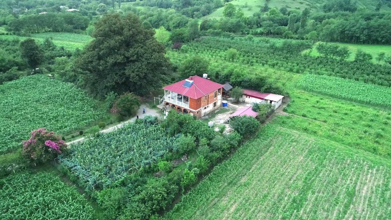 Guesthouse Kamelia Martvili Exteriér fotografie